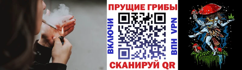 сайты даркнета состав  Микунь  Галлюциногенные грибы Psilocybine cubensis 